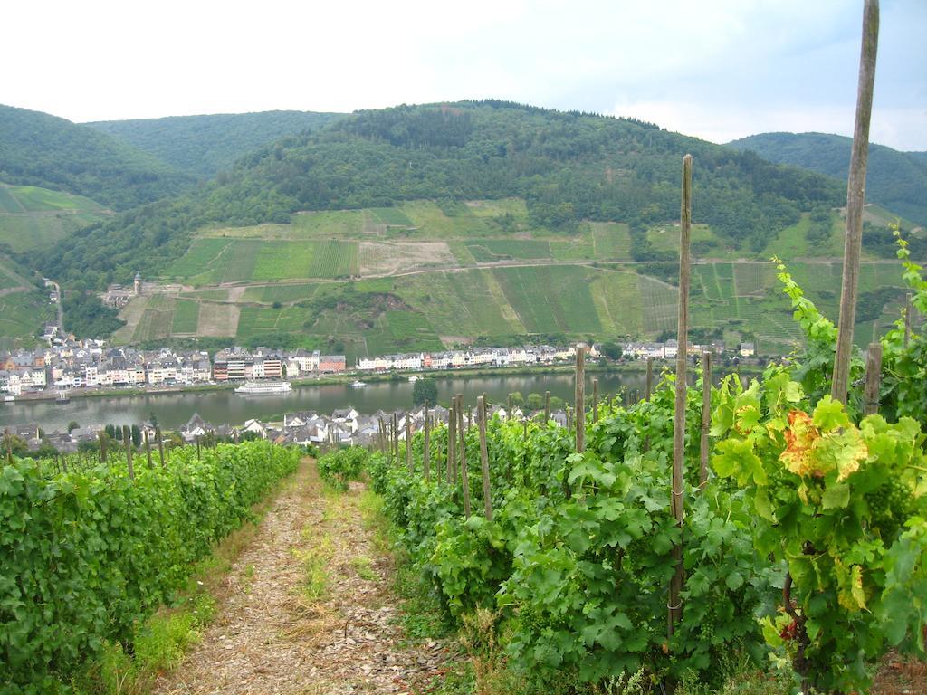 Haus Anna Villa Zell an der Mosel Bagian luar foto