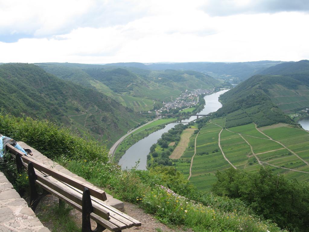 Haus Anna Villa Zell an der Mosel Bagian luar foto