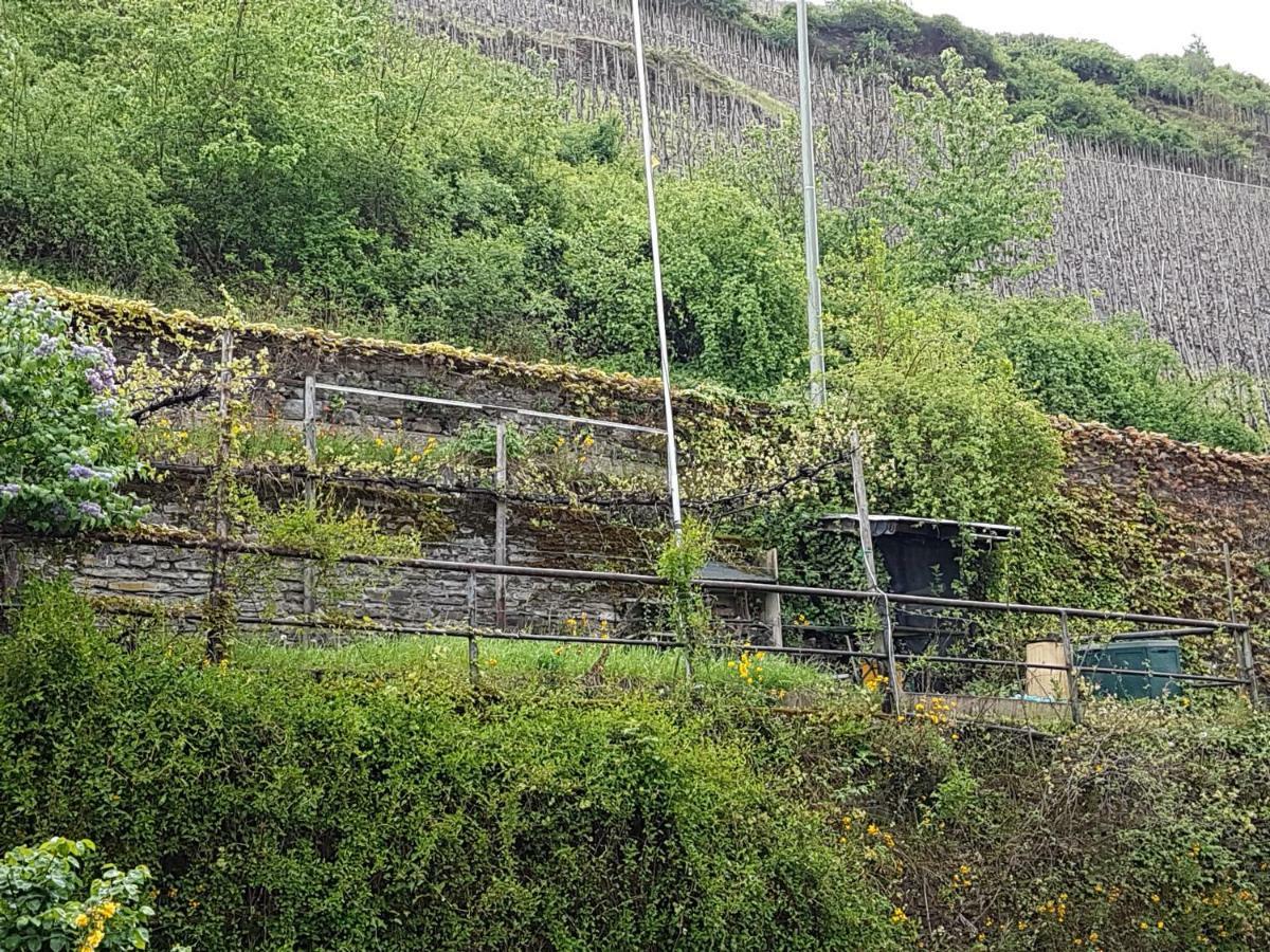 Haus Anna Villa Zell an der Mosel Bagian luar foto